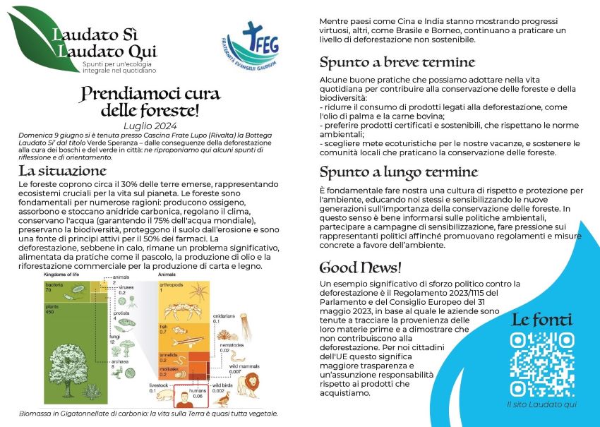 Scheda Laudato si’ Luglio 2024